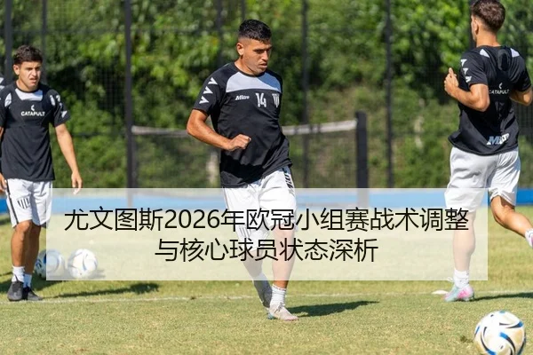 you-wen-tu-si-nian-ou-guan-xiao-zu-sai-zhan-shu-tiao-zheng-yu-he-xin-qiu-yuan-zhuang-tai-shen-xi-2-342.jpg